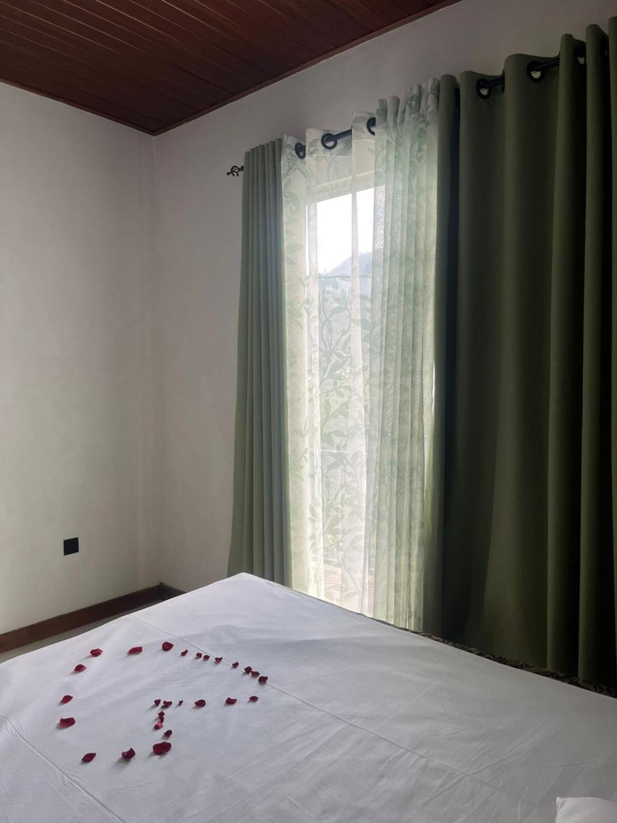 Bloom House Homestay 班德勒韦勒 外观 照片